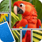 jigsaw-card-puzzle-gamepng